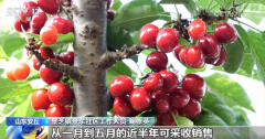 不误农时不负春奏响春耕“奋进曲” 一幅幅“科